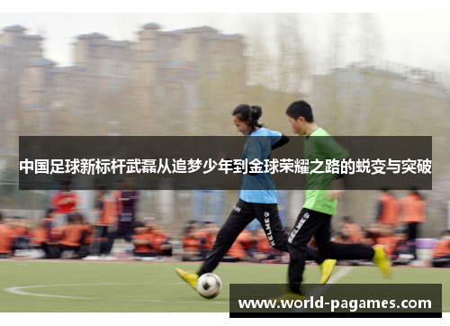 中国足球新标杆武磊从追梦少年到金球荣耀之路的蜕变与突破