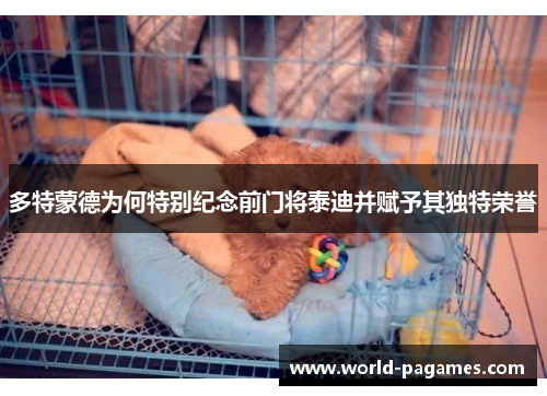 多特蒙德为何特别纪念前门将泰迪并赋予其独特荣誉