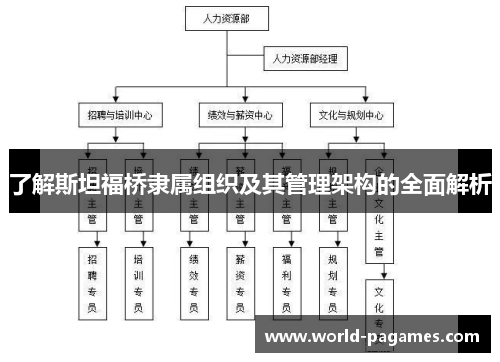 了解斯坦福桥隶属组织及其管理架构的全面解析