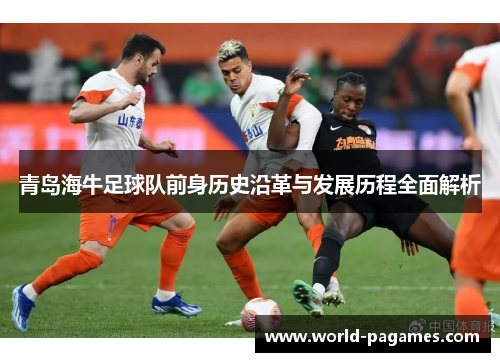 青岛海牛足球队前身历史沿革与发展历程全面解析